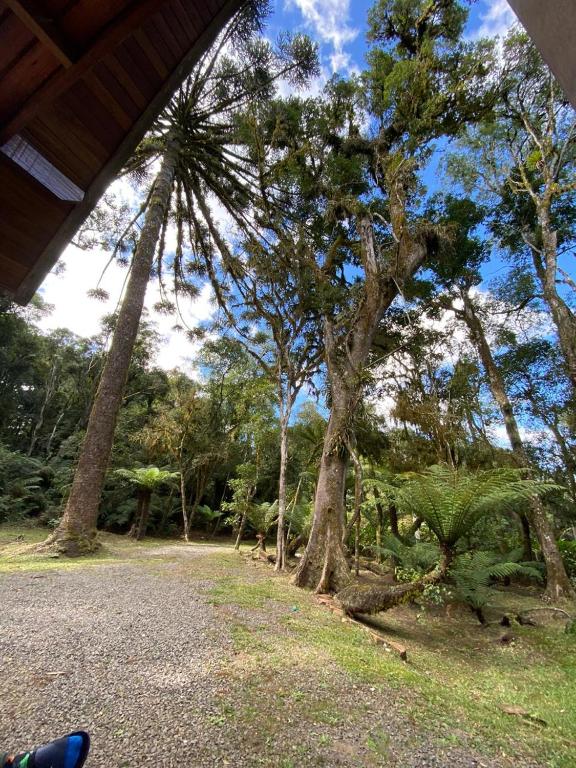  Cabana em São Francisco de Paula