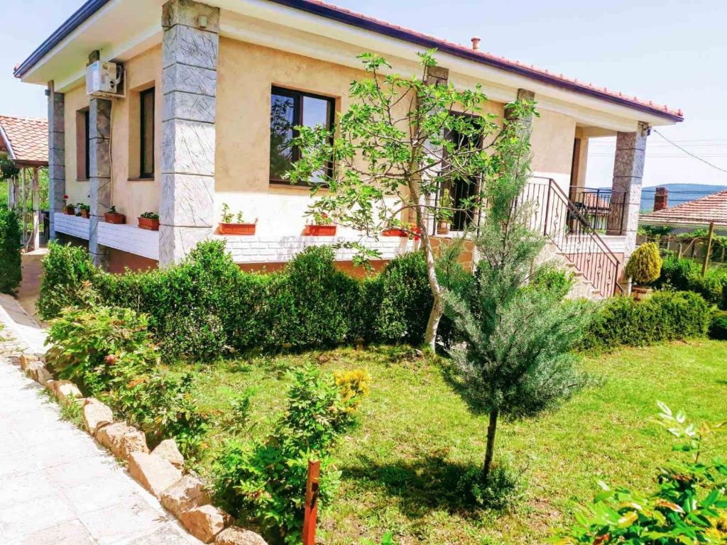 Aleksandar House - отзывы и видео