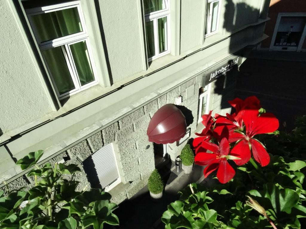 Zahrada ubytování City Hostel
