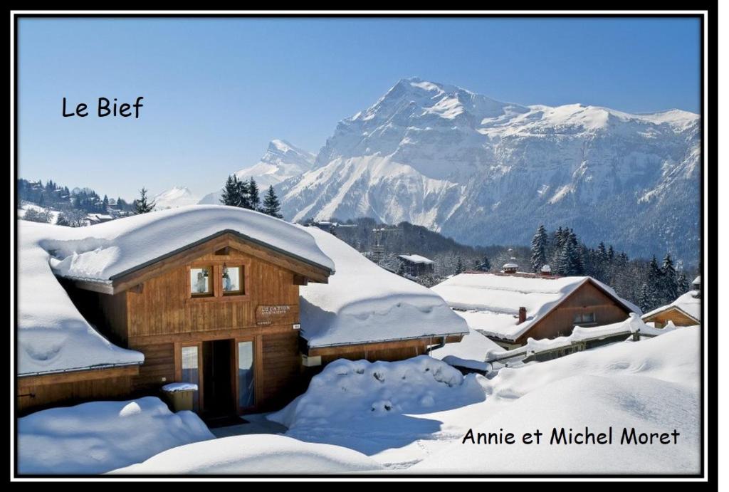 a house covered in snow with a mountain in the background at Demi-Chalet Le Bief --Prox pistes in Les Carroz d'Araches