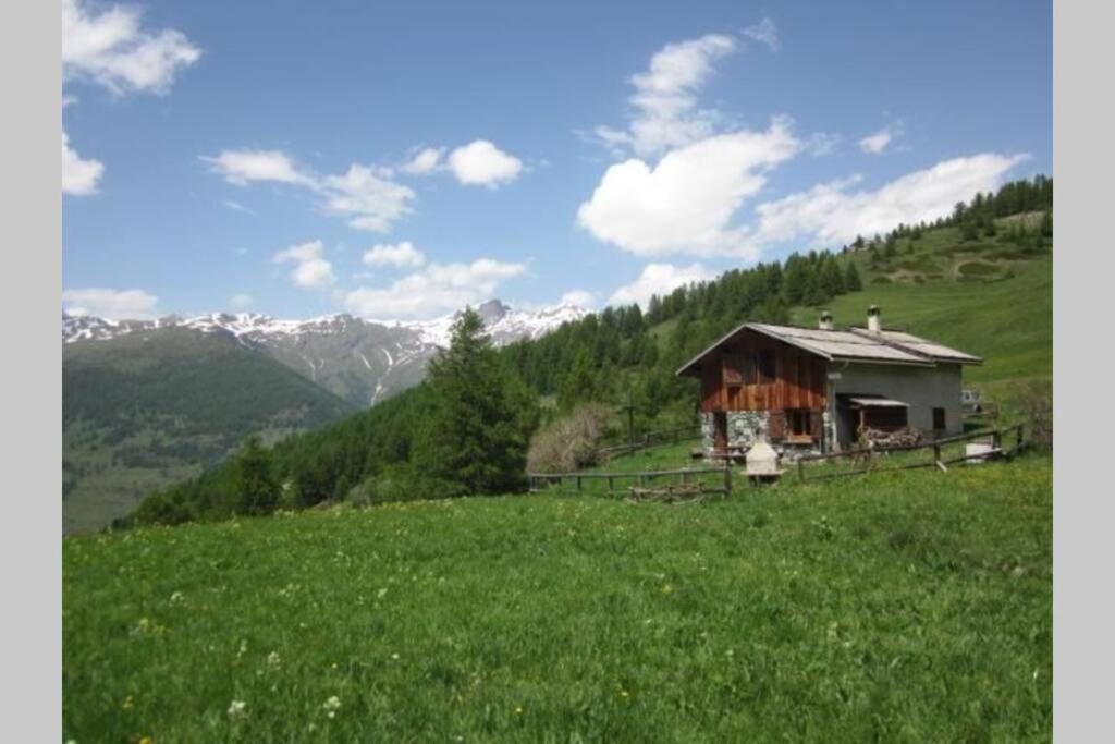 una casa en una colina en un campo verde en Chalet d'alpage Le Lauzeron en Aiguilles