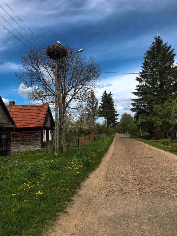 Fotografia z galérie ubytovania Kalinka - chata na końcu świata v destinácii Czeremcha