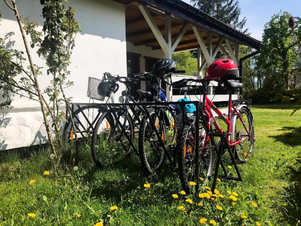 Jazda na bicykli v okolí ubytovania Kalinka - chata na końcu świata