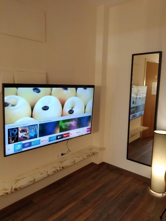 TV a/nebo společenská místnost v ubytování Mirador de Alcañiz