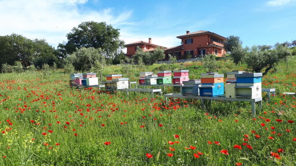 Ogród w obiekcie B&B Bee