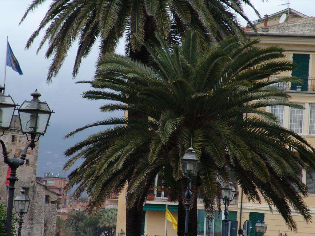 Fotografia z galérie ubytovania MAREBLU Rapallo Mare v destinácii Rapallo