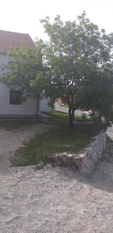 ein Baum vor einem Haus mit einer Steinmauer in der Unterkunft Apartmani Kosmac in Budva
