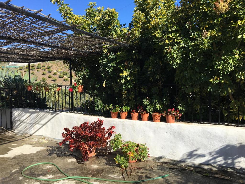 Vonkajšia záhrada v ubytovaní Casa Los Ruices