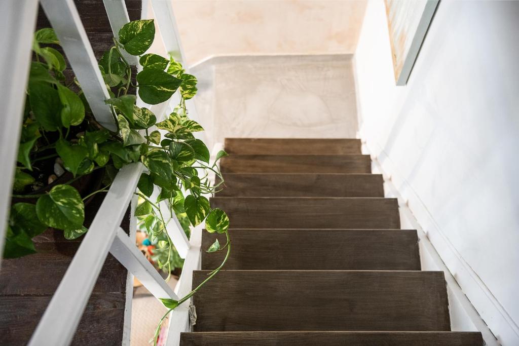 Kép Izmir House szállásáról Haniában a galériában
