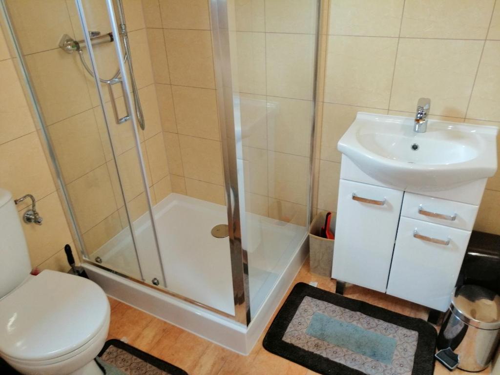 Kúpeľňa v ubytovaní Domki Stolema