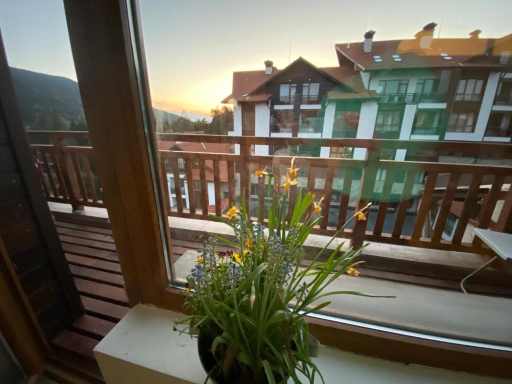 a window with a plant on a balcony at Borovets Hills Apartments - Evergreen Suite in Borovets