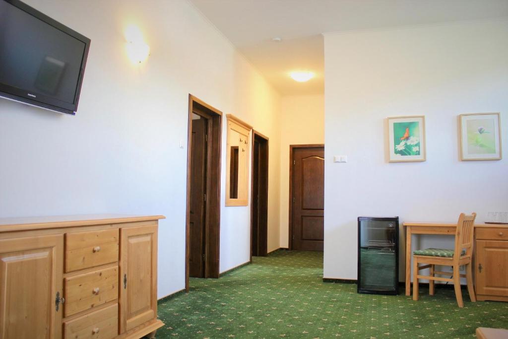 TV a/nebo společenská místnost v ubytování Hotel Alex