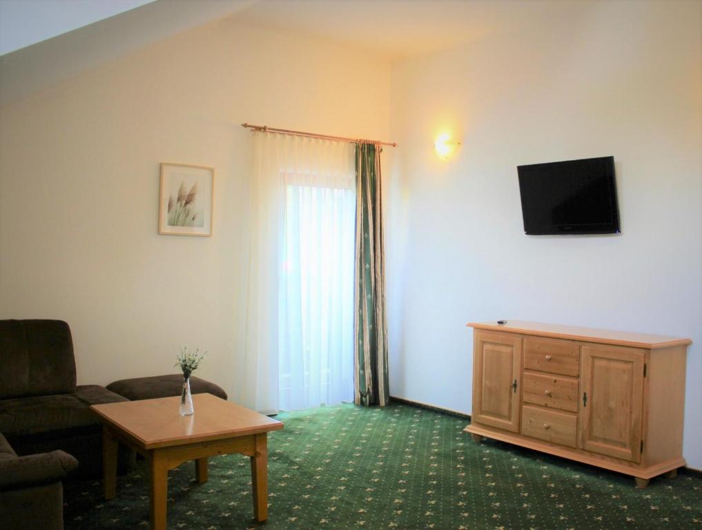 TV a/nebo společenská místnost v ubytování Hotel Alex