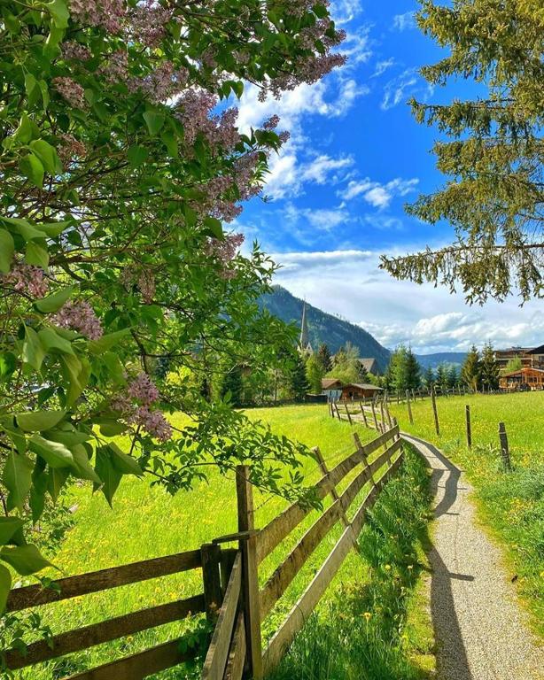 Příroda nedaleko penzionu – hostince