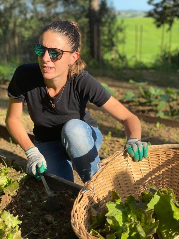 Hosté ubytování Agriturismo Pometti - Fattoria La Selva