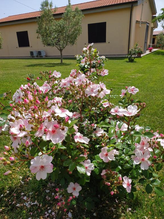 Zahrada ubytování Agriturismo Severini