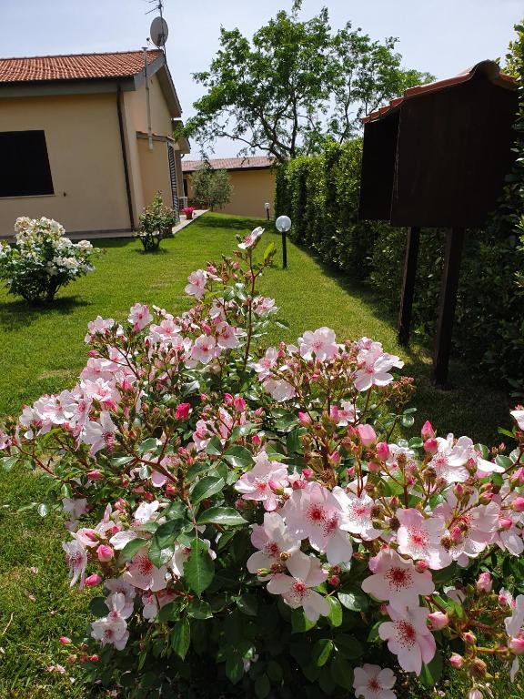 Zahrada ubytování Agriturismo Severini