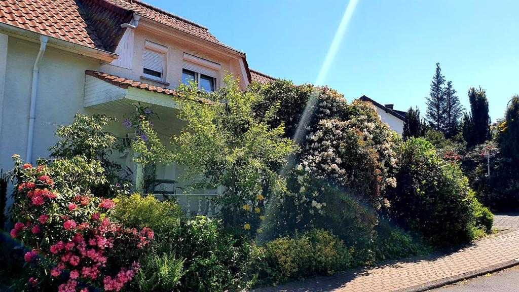 Zahrada ubytování Ferienhaus "Villa am Eck"
