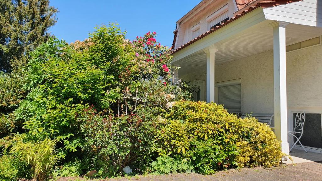 Zahrada ubytování Ferienhaus "Villa am Eck"