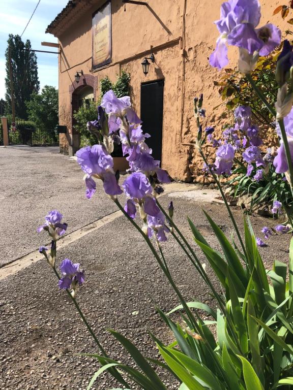 Auberge De Pachoquin