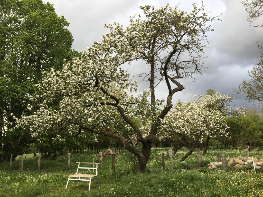 Zahrada ubytování Pasterhof Eichhorst