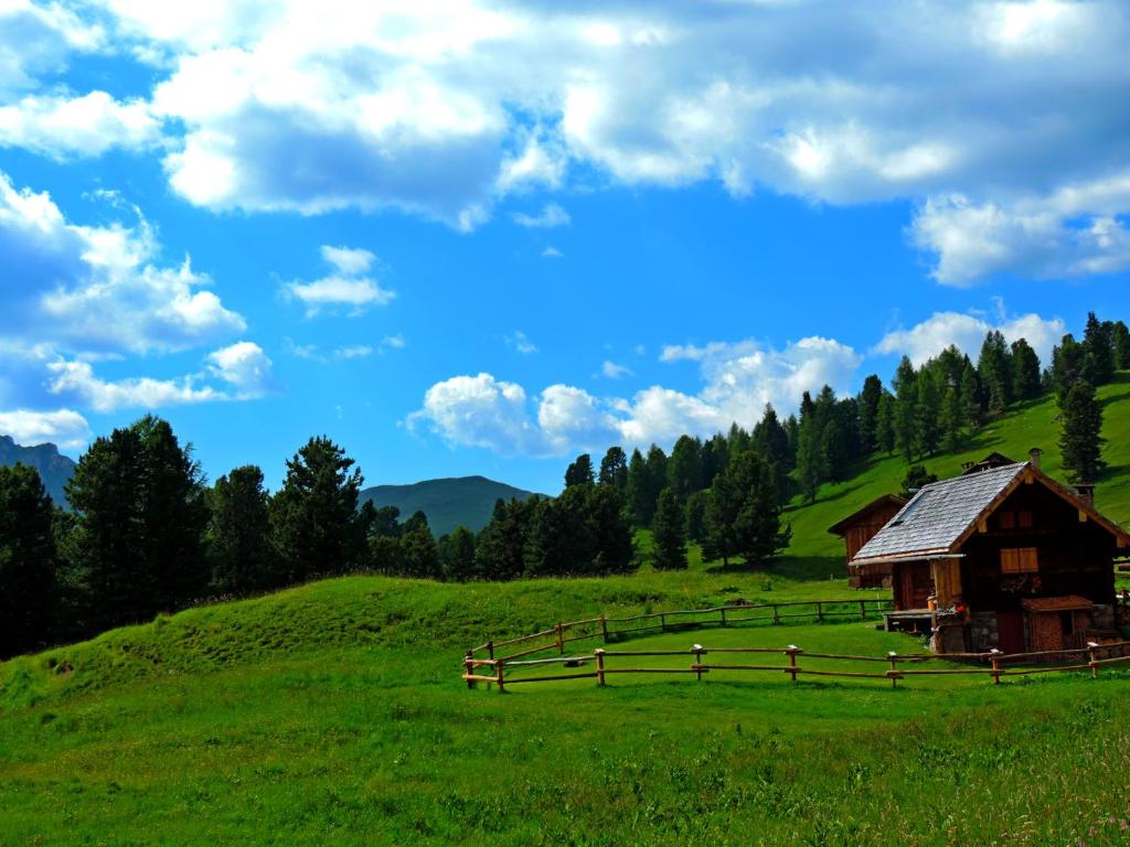 Příroda nedaleko hotelu