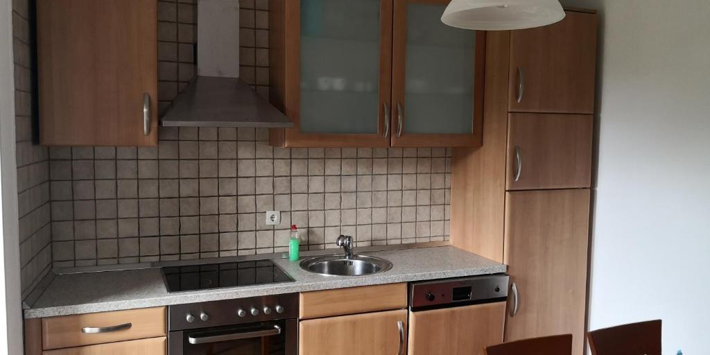 Kuchyň nebo kuchyňský kout v ubytování Apartma Logar