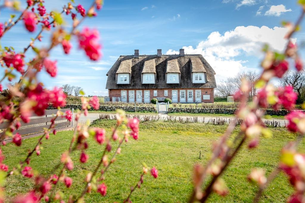 una casa sullo sfondo con fiori rosa in primo piano di Watthüs a Morsum