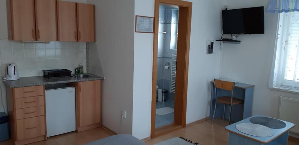 Kuchyň nebo kuchyňský kout v ubytování Guest House Maxim