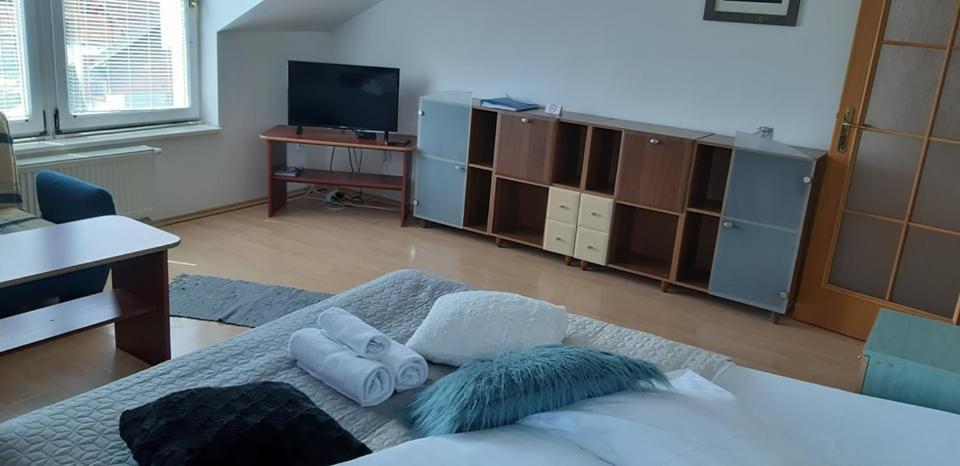 TV a/nebo společenská místnost v ubytování Guest House Maxim