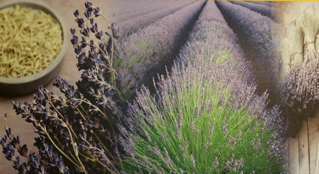 Hotel De La Loire - Superieure Tweepersoonskamer