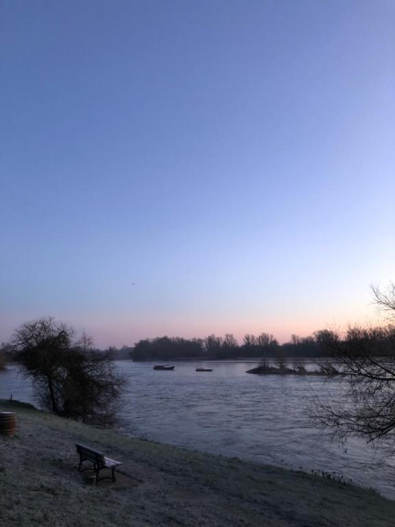 Hotel De La Loire - Comfort Tweepersoonskamer