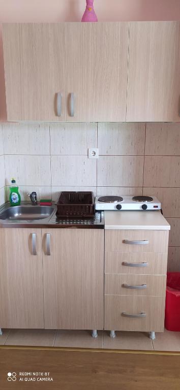 Kuchyň nebo kuchyňský kout v ubytování Apartmani Aleksijević