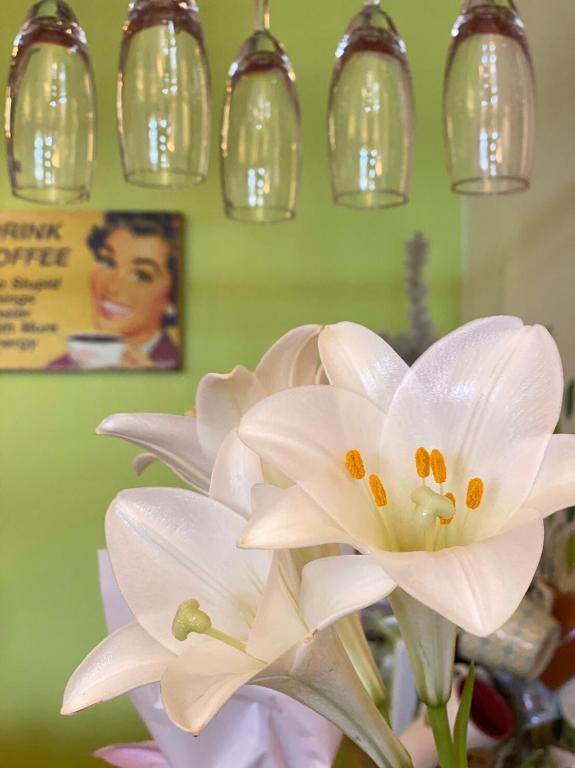 Fotografie z fotogalerie ubytování Redbean Guesthouse v destinaci Wujie
