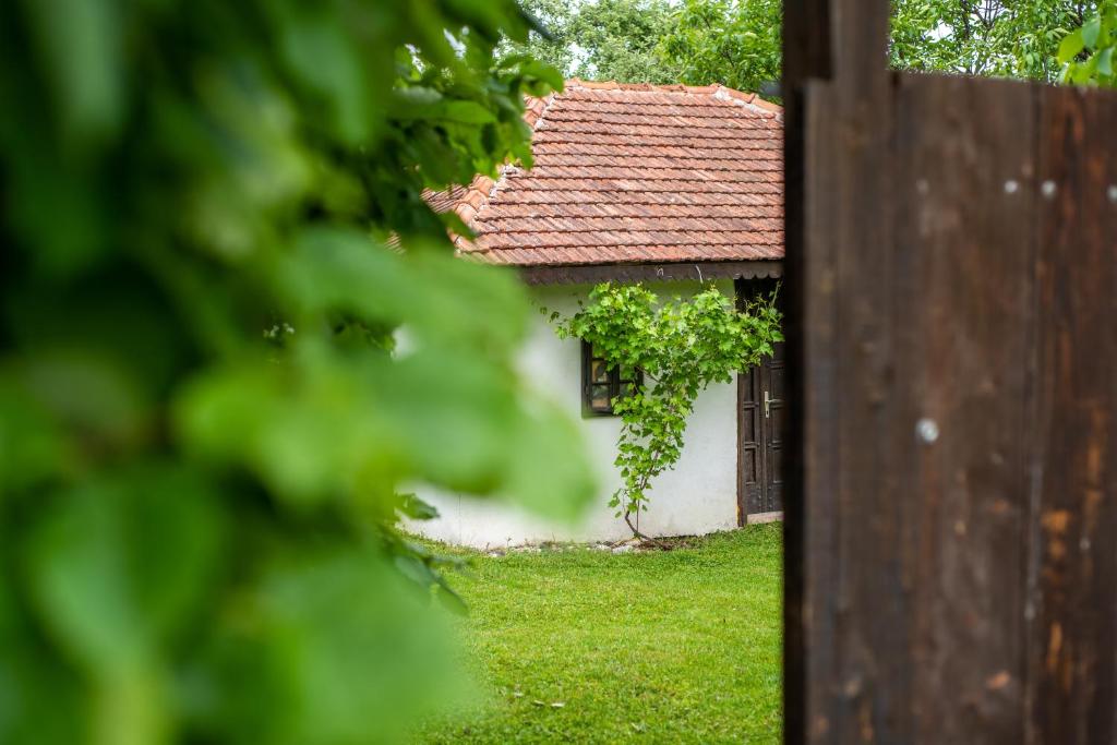 Zahrada ubytování Lodge Morava