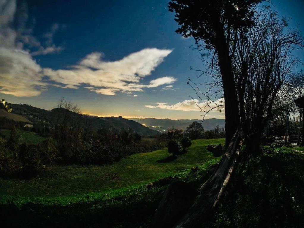 een groen veld met een boom op de voorgrond bij Locanda Montepaolo in Dovadola