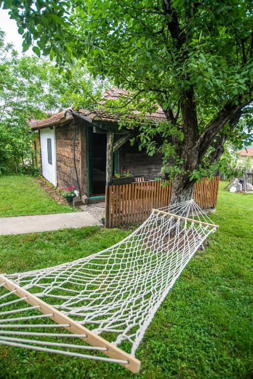 Zahrada ubytování Lodge Morava