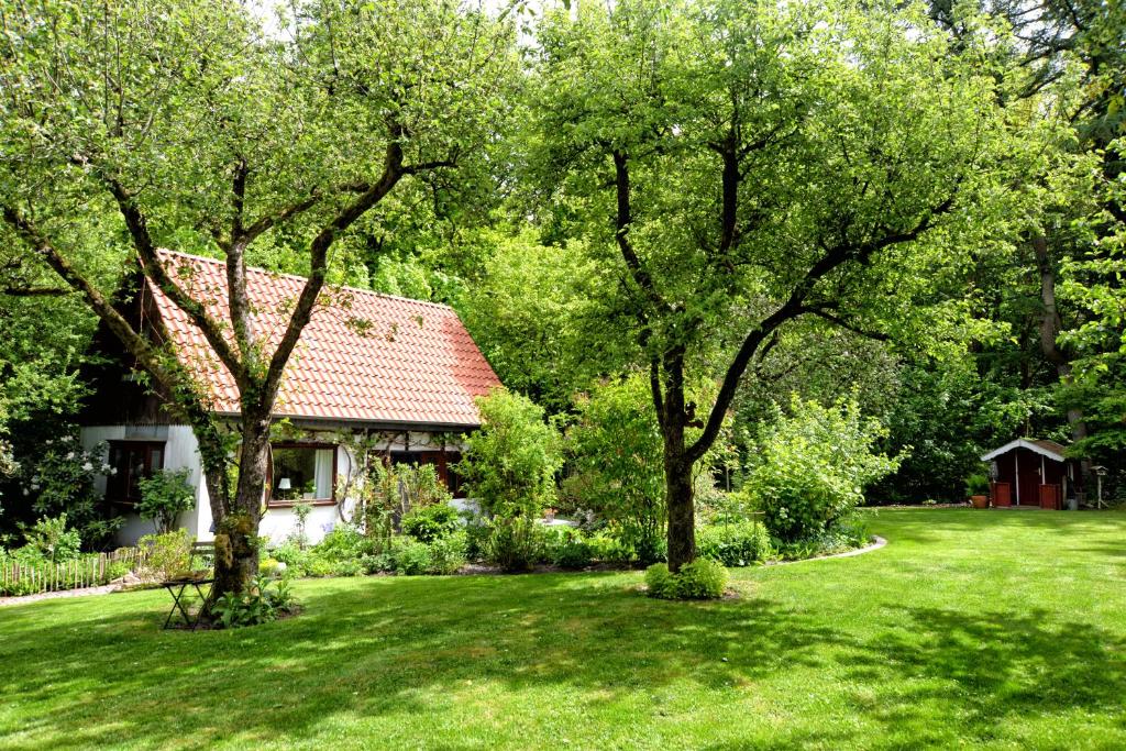 a yard with two trees and a house at kleines Haus in Ganderkesee