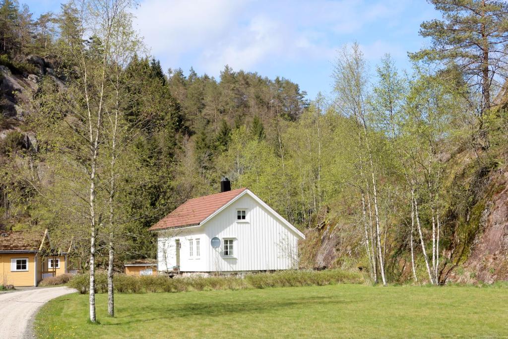 uma casa branca num campo ao lado de uma estrada em Det Hvite Hus em Feda