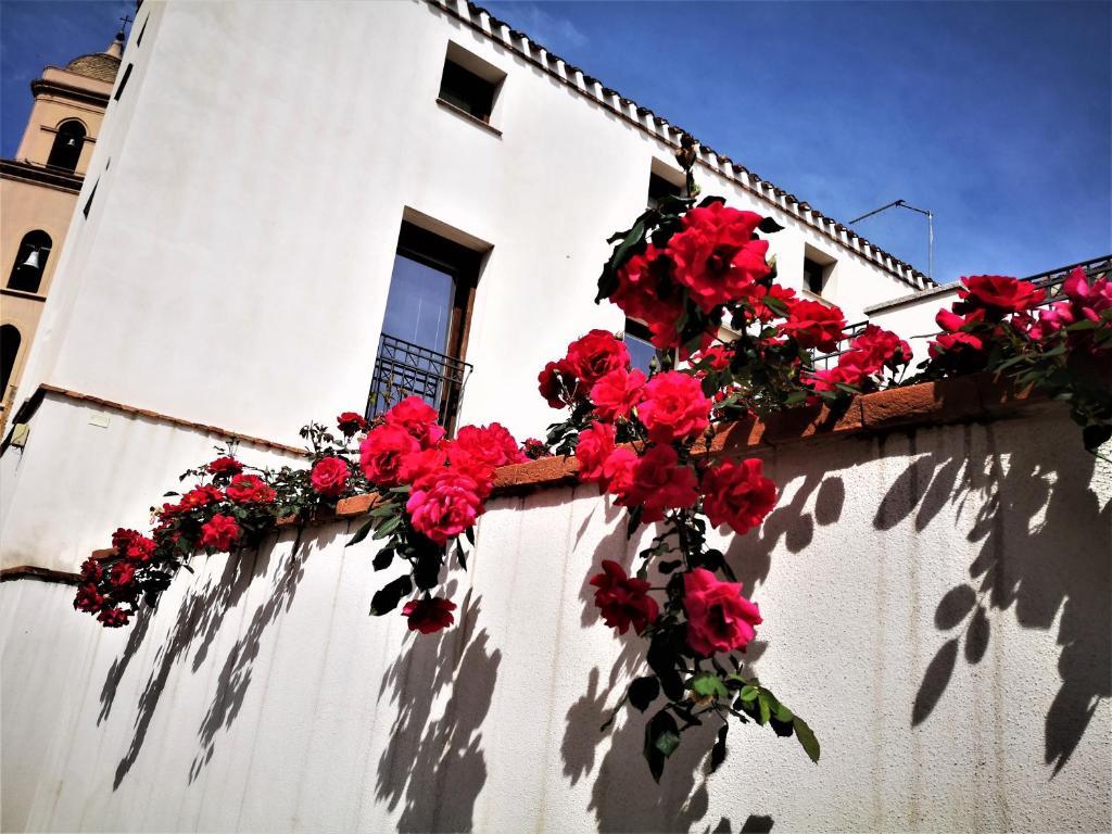 a bunch of red flowers on a white building at Arco Bianco - Monolocali in Tortolì