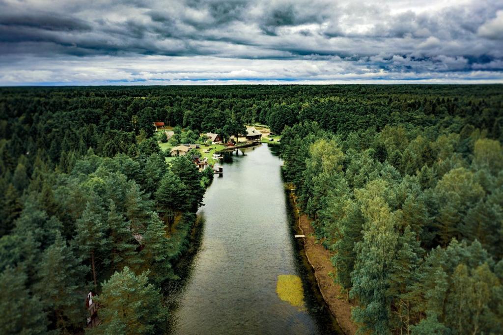una vista aérea de un río con árboles en Pidula Forell, en Pidula