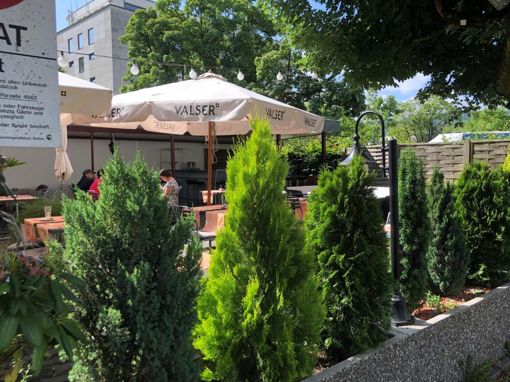 Zahrada ubytování Zys Hotel