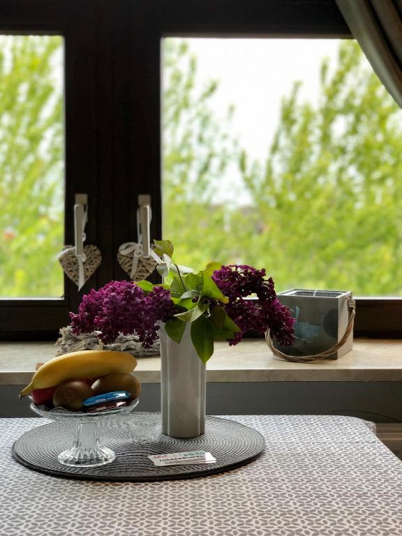 Fotografie z fotogalerie ubytování Appartements Friedrichsen v destinaci List