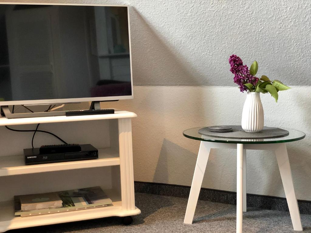 TV a/nebo společenská místnost v ubytování Appartements Friedrichsen