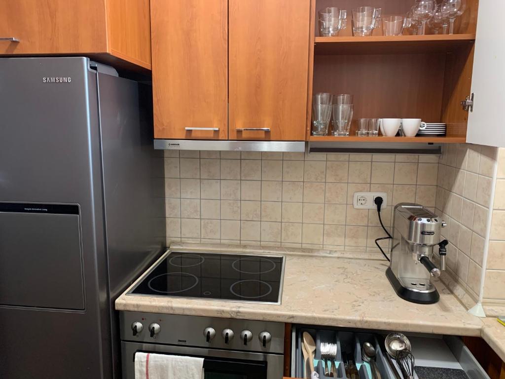 Kuchyňa alebo kuchynka v ubytovaní Lakeside Wellness Apartman