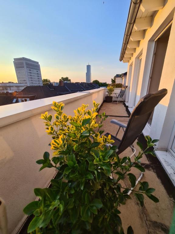 Hotel Cara Vita Cologne - Resim 28