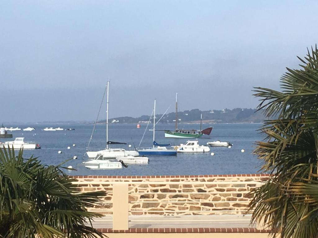 eine Gruppe von Booten, die im Wasser in der Nähe einer Mauer sitzen in der Unterkunft GÎte indépendant dans une villa -Vue et accès direct mer - avec 3 chambres et 3 grandes terrasses in Perros-Guirec