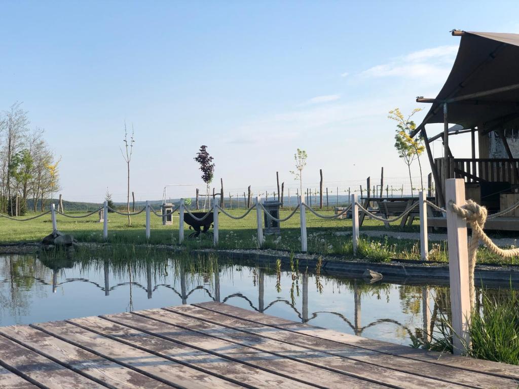 Príroda v okolí luxusného stanu