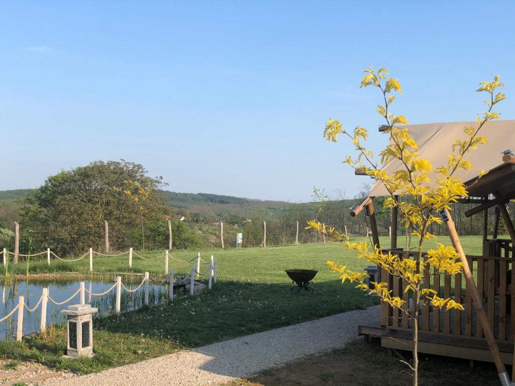 Príroda v okolí luxusného stanu