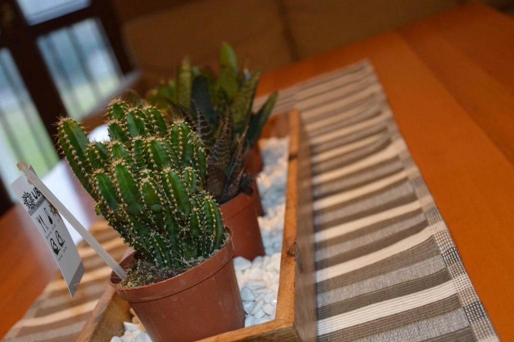 Poncinvs Residence - 12